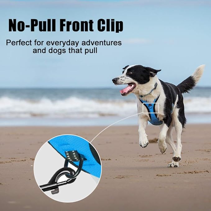 PoyPet No Pull Dog Harness, Reflective Comfortable Vest Harness with Front & Back 2 Leash Attachments and Easy Control Handle Adjustable Soft Padded Pet Vest for Small to Large Dogs (Blue,M)