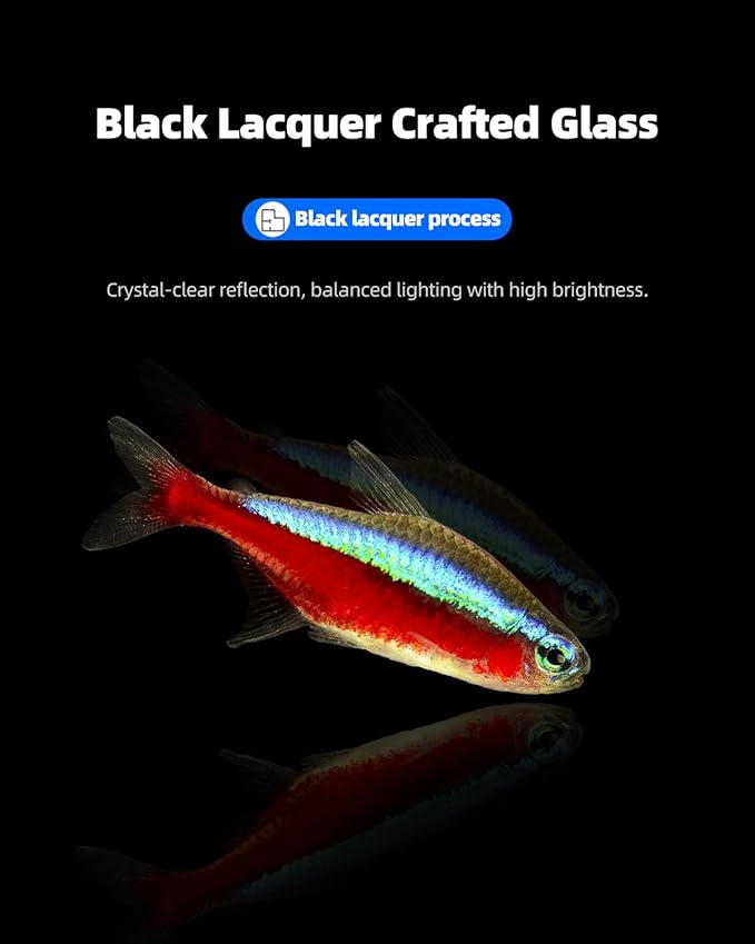 5 Gallon Clear Glass Fish Tank, Easy to Maintain Small Aquariumfor Betta, Goldfish, Snail,Shrimp and Aquatic Planting