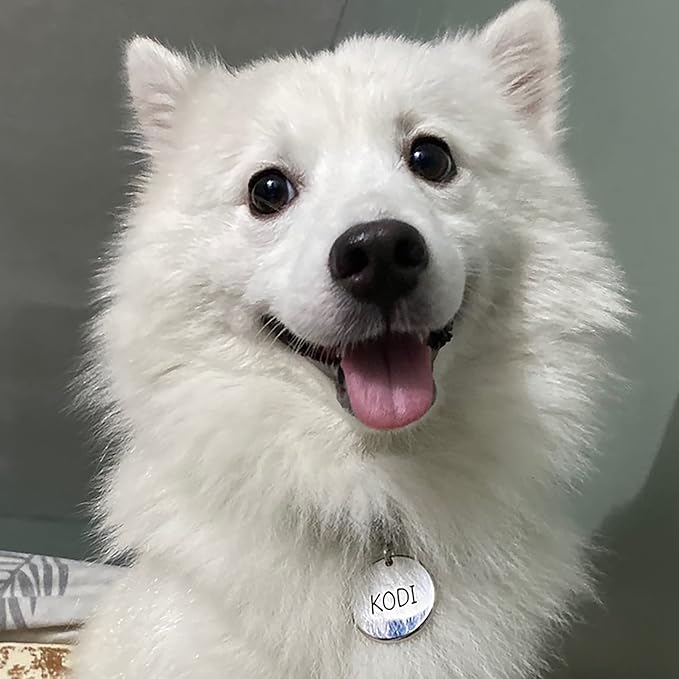 Premium 316 Surgical Grade Stainless Steel Personalized Dog & Cat ID Tags - Fun Shapes for Sporty Outdoor Pets - Custom Engraved Name & Info for Collar Accessories & Pet Necklaces Bone