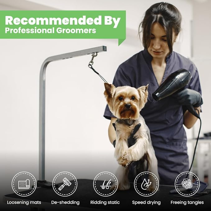 Best Shot Scentament Spa Seasonal Body and Facial Wash, Tearless Shampoo, Hypoallergenic Body Wash, Removes Tear Stains, Hot Toddy, 16 Oz.