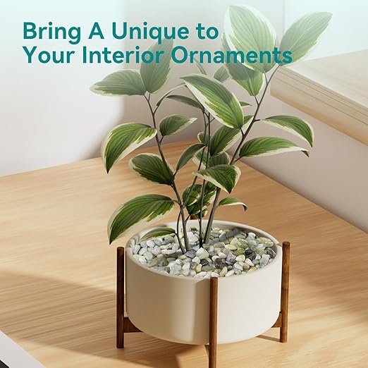 10 lbs Jade Pebbles for Indoor Plants, 3/8" Plant Rocks for Pots Indoor, Decorative Small Stones for Plants, Bamboo,Vase, Succulent, Highly Polished Small River Rocks