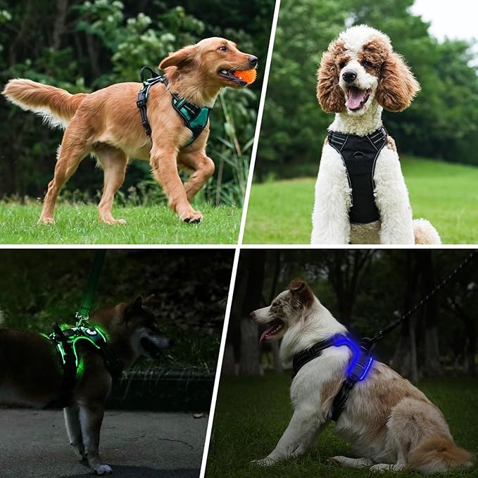 Taglory Light Up Dog Harness, Rechargeable No Pull Dog Vest with 3 Lightning Modes, Reflective Dog Harness with 2 Leash Clips & 4 Adjustable Slide Strips for Small Dogs, Black-Blue, S