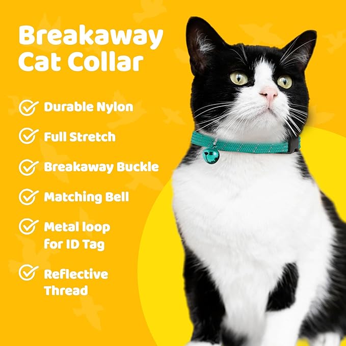 BirdsBeSafeĀ® Break Away Cat Collar with Bell, Reflective Thread for Night Visibility, Comfortable Elastic Stretch Cat Collar to Protect Cat from Getting Stuck in The Garden.