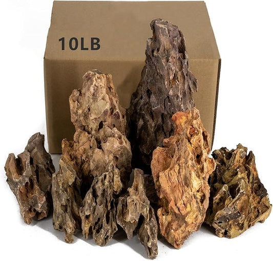 Dragon Rocks Aquariums Stones Natural Rocks for Aquascaping, Aquariums, Terrariums, Vivariums Decorative Stone,Reptile Enclosures,Paludariums,and Gardens-10LB(2 to 7 inch)