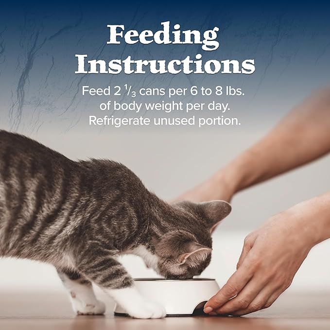 Blue Buffalo Wilderness Wild Delights Meaty Morsels Wet Cat Food, High-Protein & Grain-Free, Made with Natural Ingredients, Chicken & Trout Recipe in Tasty Gravy, 3-oz. Cans (24 Count)