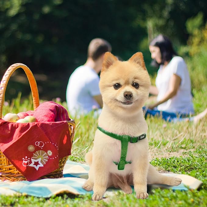 PUPTECK No Pull Dog Harness Soft Adjustable Basic Nylon Step in Puppy Vest Outdoor Walking with ID Tag, Blackish Green, S