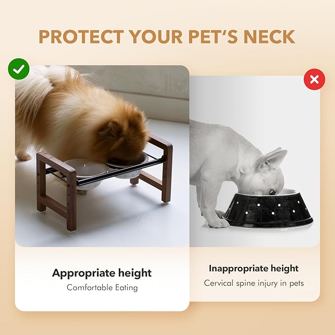 5.5inch Ceramic Adjustable Raised Double Bowls Set with Stand, 3 Heights Elevated, 2 Placement Options,Food and Water Dishes for Puppy, Cats(Double Bowls+Stand, Reactived Glaze -White