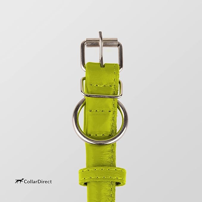 CollarDirect Rolled Leather Dog Collar, Soft Padded Round Puppy Collar, Handmade Genuine Leather Collar Dog Small Large Cat Collars 13 Colors (15-19 Inch, Lime Green Textured)