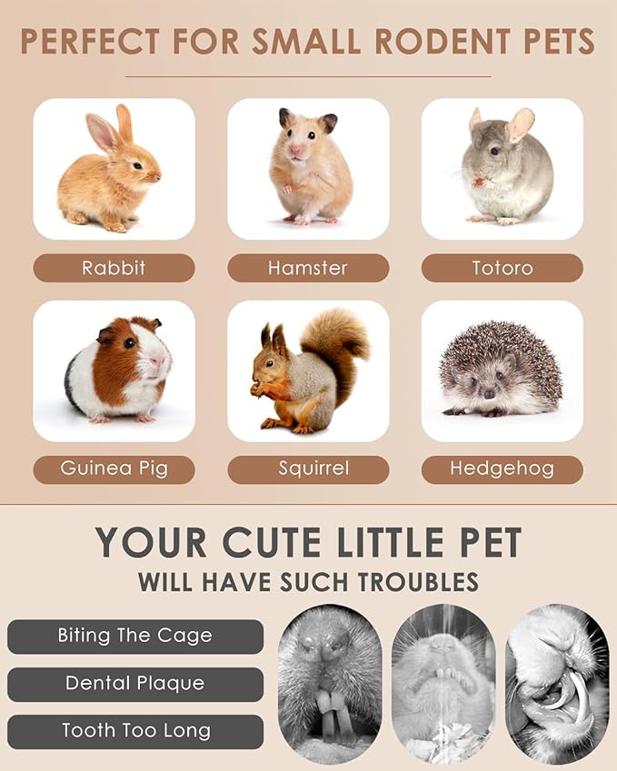 Bissap 22PCS Rabbit Chew Sticks, Mixed Natural Timothy Hay Flower Rose Dahlberg Daisy and Forget-me-not Chew Toys Treats for Bunny Chinchilla Guinea Pig Hamster and Other Small Pets Molar Snacks