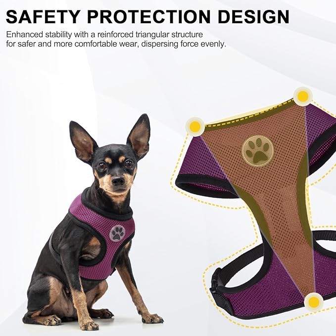 BINGPET Small Dog Harness - Breathable Mesh Puppy Cat Harnesses - No Pull Adjustable Dog Harness Dog Vest Harness for Small and Medium Dogs