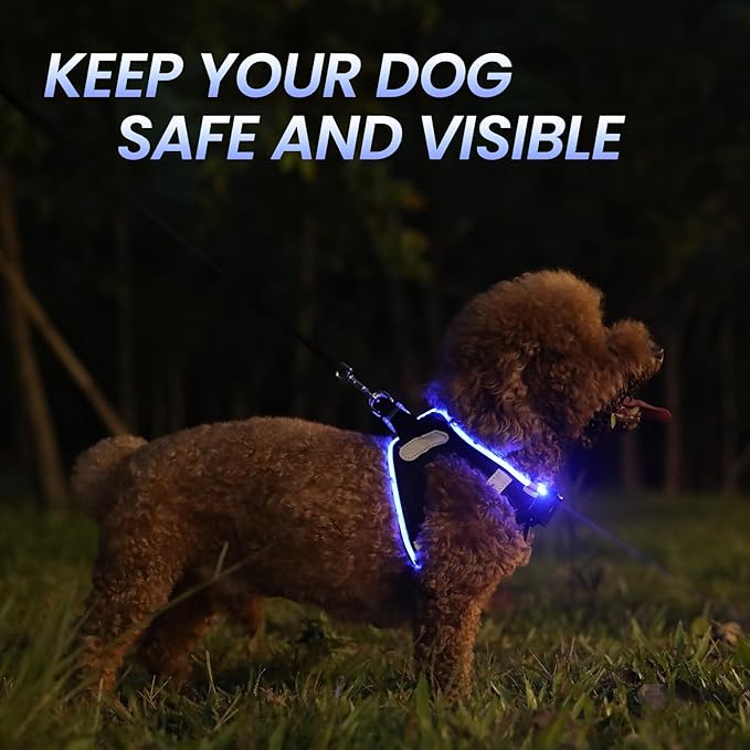 PceoTllar Light Up Dog Harness, LED No Pull Reflective Dog Harness, Flashing Lighted for Night Walking - Small/Medium (Black Blue,s)