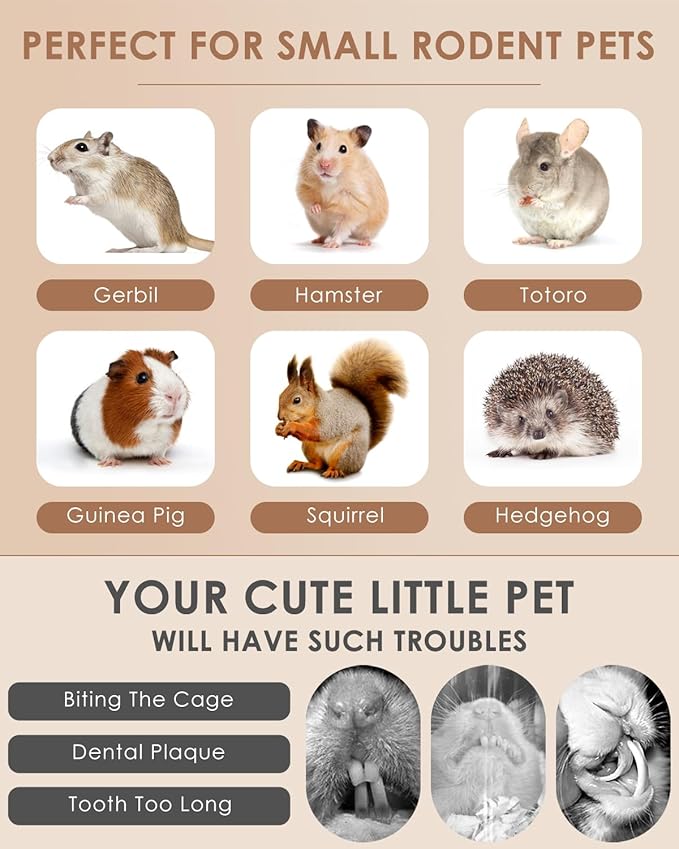 Bissap 25 PCS Guinea Pigs Chew Sticks, Natural Papaya Stems Bunny Chews Treats for Hamsters Chinchillas Small Animals Organic Molar Chewing Snack