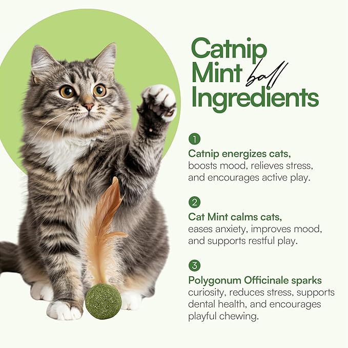 3 Pcs Catnip Balls with Feathers β Natural Catnip Toy for Play, Stress Relief & Healthy Enrichment Interactive Cat Toys Perfect for Indoor Cats & Kittens, Encourages Active Play & Wellness