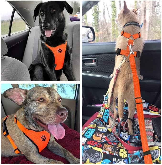 Lukovee Dog Seat Belt - Adjustable Dog Car Harness for Large, Medium & Small Dogs, Soft Padded & Breathable Mesh Dog Seatbelt with Vehicle Connector Strap (Orange, X-Small)