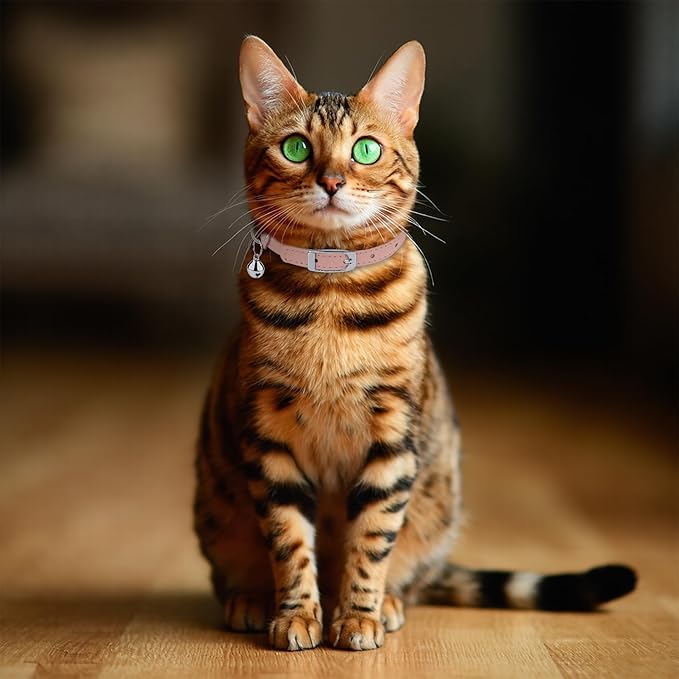 OOPSDOGGY Rolled Leather Cat Collar with Bell, Reflective Kitten Collars with Buckle Include Safety Elastic Strap - Adjustable Small Pet Collars for Boy Girl Cats (Blush)