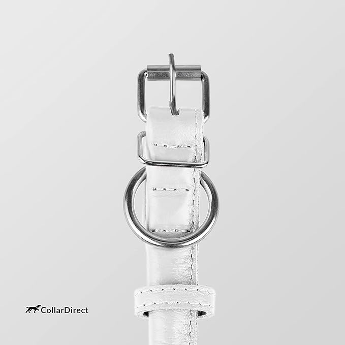 CollarDirect Rolled Leather Dog Collar, Soft Padded Round Puppy Collar, Handmade Genuine Leather Collar Dog Small Large Cat Collars 13 Colors (6-7 Inch, White Textured)