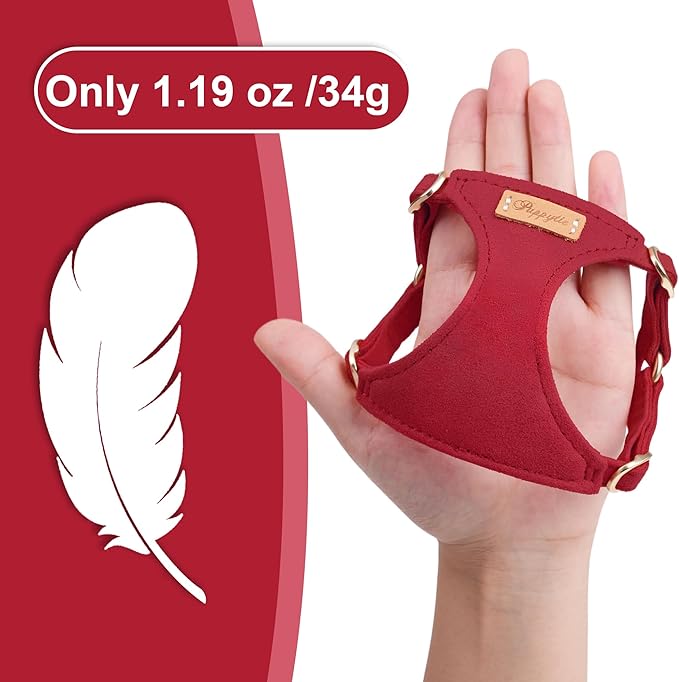 Puppytie No Pull Small Dog Harness with Multifunction Dog Leash,Lightweight Soft Adjustable No Choke Escape Proof Pet Harness Vest Pet Harness Vest,red-Camellia,S