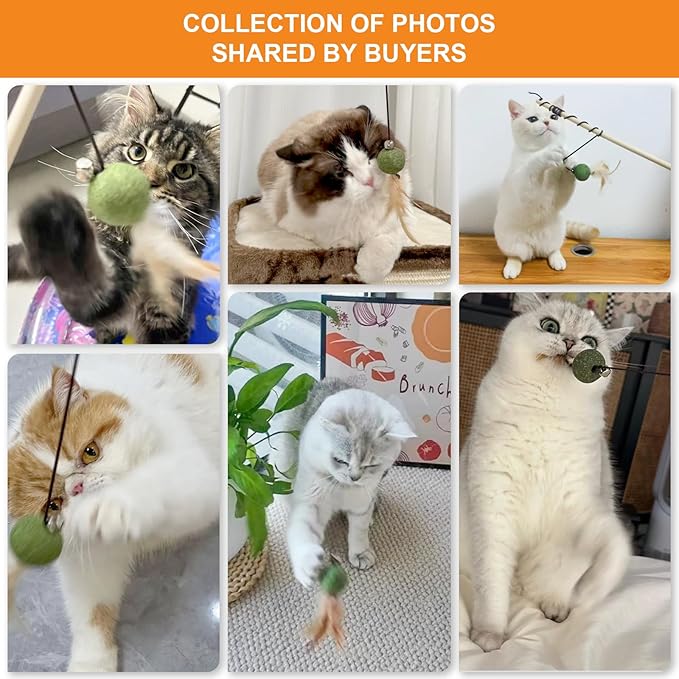 Cat Feather Toys with Catnip Ball, Feathers & Bell - 2 Replaceable Mouse Heads, Elastic Rope & Wooden Handle for Aggressive Kittens, Durable Bite-Proof Interactive Cat Teaser for Indoor Play