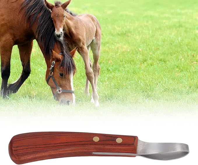 CHICIRIS Hoof Knife, Double Edged Hoof Trimming Knife with Wooden Handle Horse Farrier Tool, Stainless Steel Blade, Multifunctional Cow Horseshoe Knife for Hoof of Cows and Horses