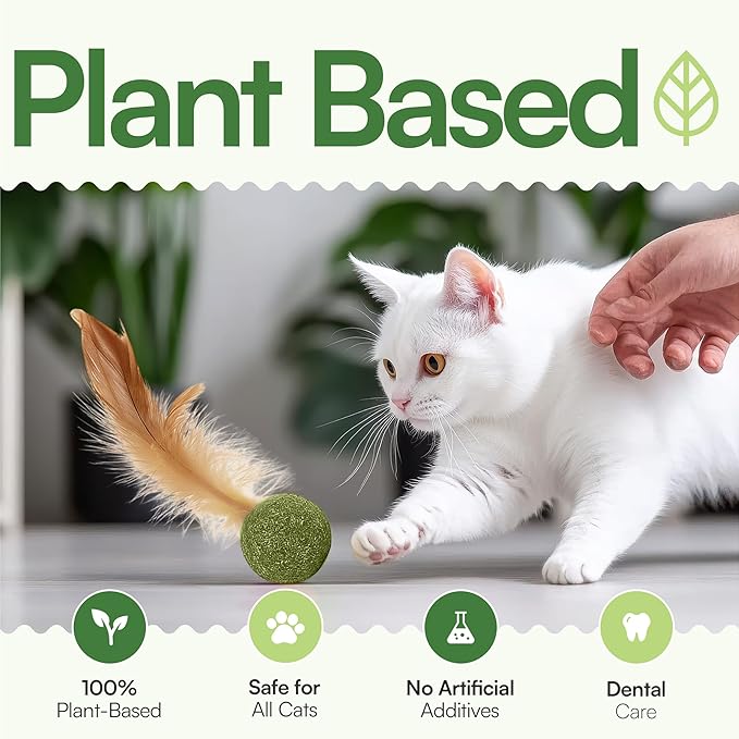 3 Pcs Catnip Balls with Feathers β Natural Catnip Toy for Play, Stress Relief & Healthy Enrichment Interactive Cat Toys Perfect for Indoor Cats & Kittens, Encourages Active Play & Wellness