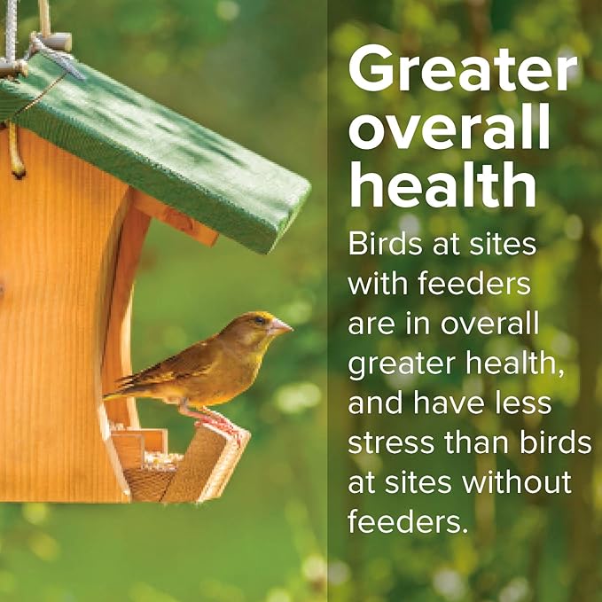 Blue Seal Nature's Choice Wild Bird Seed | High Energy Blend, Sunflower and White Safflower Seeds, No Filler | 20 Pound Bag