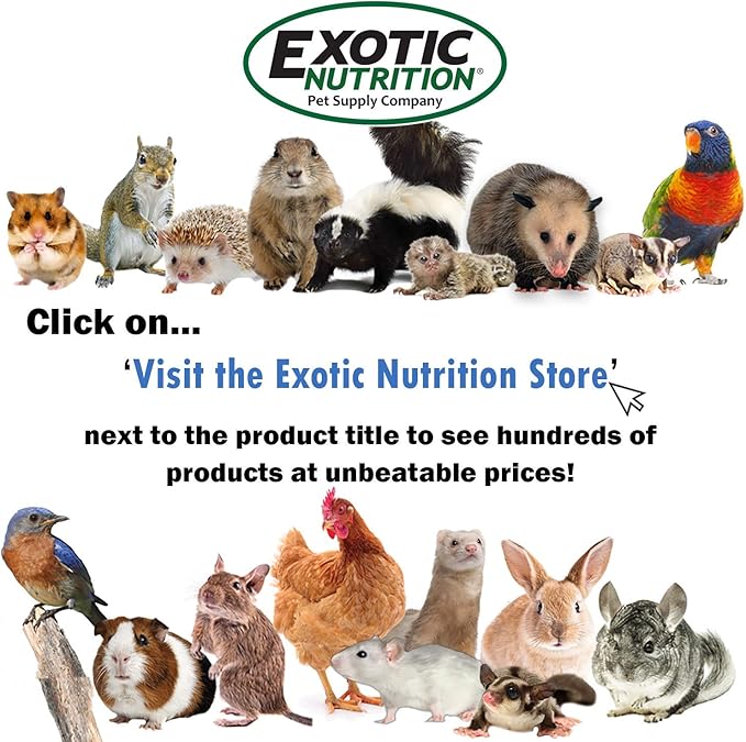 Exotic Nutrition Degu Diet (2.5lb) - Nutritionally Complete Healthy Pellet Diet with Whole Oats - for Domesticated Pet Degus