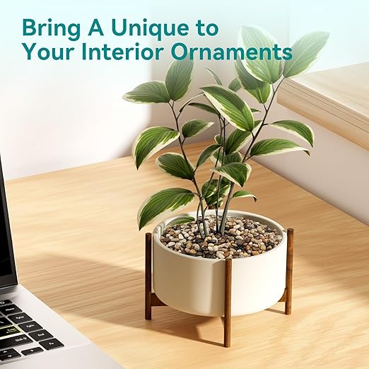 10 lbs Pebbles for Indoor Plants, Vase, Succulent, 3/8" Gravel for Plants, Pots Indoor, Bamboo Rocks for Bamboo Plants, Decorative Small River Rock, Highly Polished