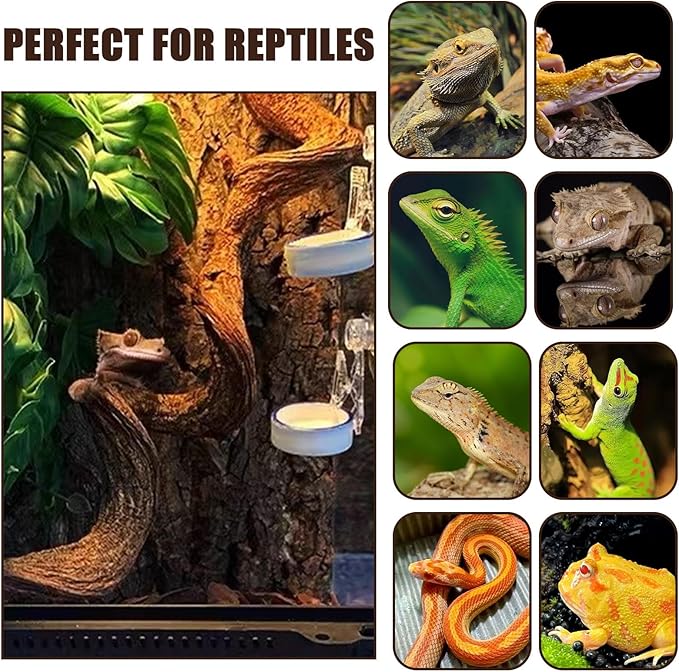 BNOSDM 2Pcs Reptile Climbing Branches Decor,Snake Climbing Branch,Gecko Climb Wood,Lizard Forest Branch,Tank Habitat Tree Trunk Decorations for Bearded Dragons,Chameleons,Spider,Frogs (M)