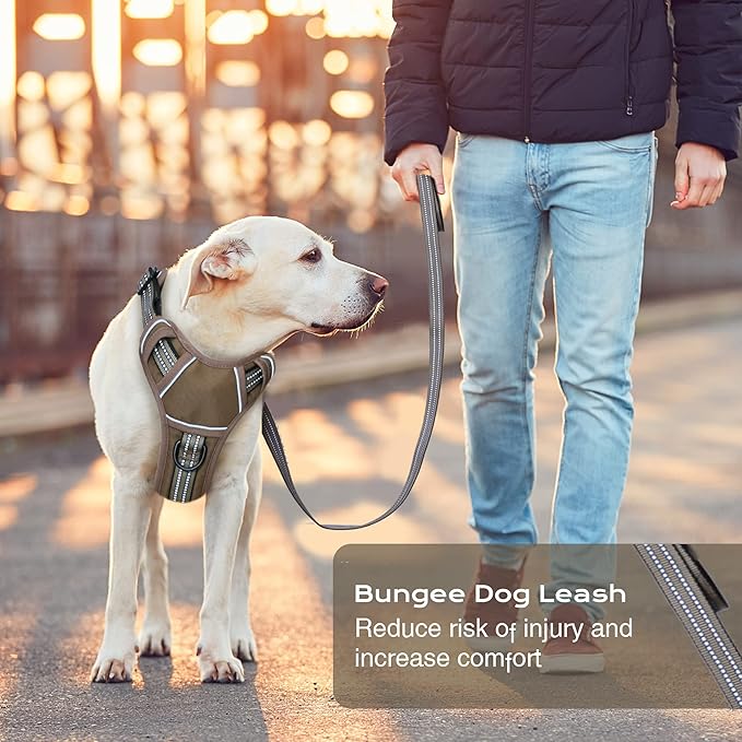 No Pull Dog Harness for Large Dogs, Adjustable No Choke Pet Vest with Dog Leash Fit Smart Reflective Pet Walking Harness for Training Easy Control Soft Handle Brown XL