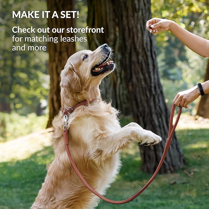 CollarDirect Rolled Leather Dog Collar, Soft Padded Round Puppy Collar, Handmade Genuine Leather Collar Dog Small Large Cat Collars 13 Colors (13-16 Inch, Cinnamon Smooth)