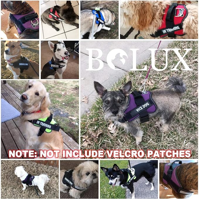 Bolux Dog Harness, No-Pull Reflective Dog Vest, Breathable Adjustable Pet Harness with Handle for Outdoor Walking - No More Pulling, Tugging or Choking (Black, M)