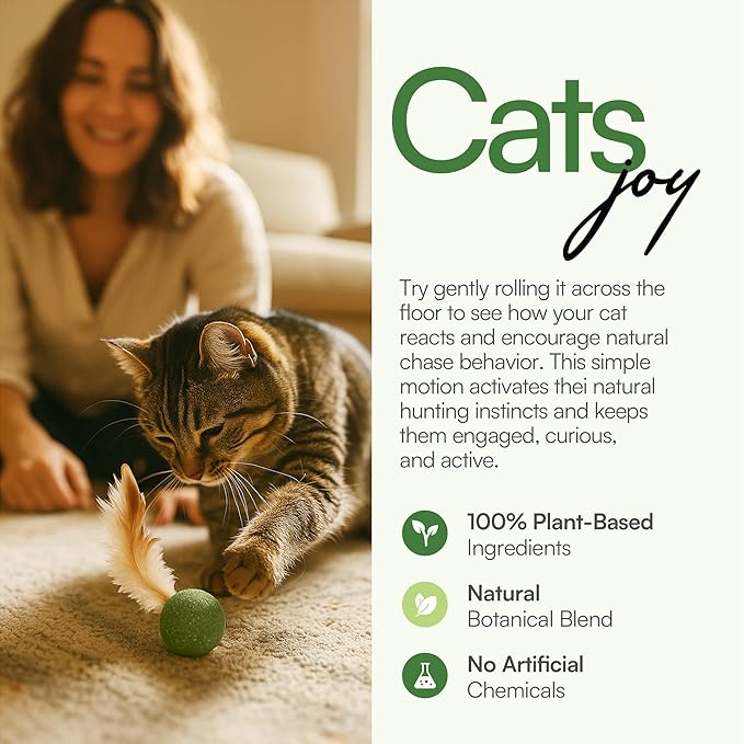 3 Pcs Catnip Balls with Feathers β Natural Catnip Toy for Play, Stress Relief & Healthy Enrichment Interactive Cat Toys Perfect for Indoor Cats & Kittens, Encourages Active Play & Wellness