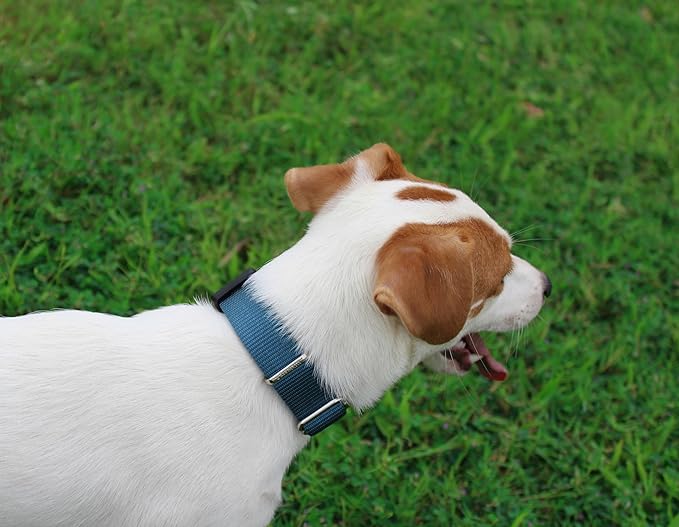 Mikivery Nylon Dog Collar with Quick Release Buckle Soft Adjustable Sturdy for Small Medium Large Dogs Haze Blue,M