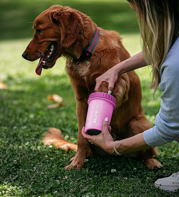 Dexas MudBuster Portable Dog Paw Washer/Paw Cleaner, Medium, Fuchsia