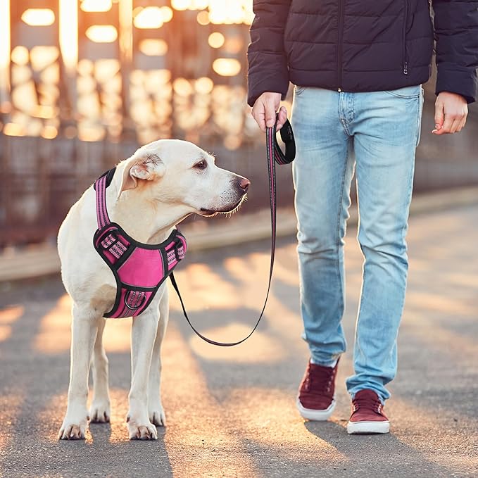 BUMBIN Dog Harness for Large Dogs, No Pull Adjustable No Choke Pet Vest with Dog Leash Fit Smart Reflective Pet Walking Harness for Training Easy Control Soft Handle Rose Red M