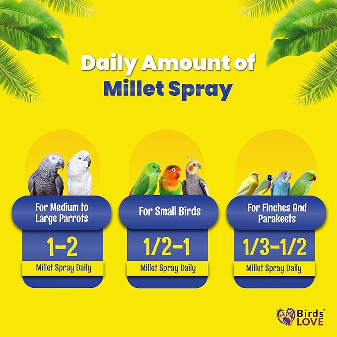 Birds LOVE Spray Millet – 9 oz GMO-Free, No Stems (Only Edible Tops) – Healthy Treat for Parakeets, Cockatiels, Finches, Canaries & Lovebirds