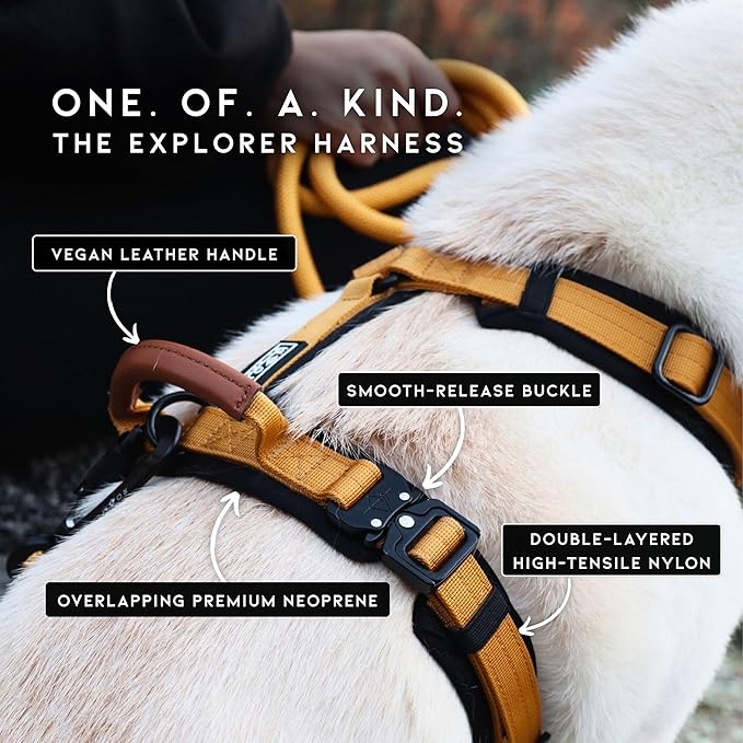 MADE TO ROAM Premium Explorer Harness - Y-Shaped Dog Harness with Adjustable Durable Nylon, Soft Padding, Metal Buckles and Leather Handle for Small, Medium, Large Dogs (Virginia Mountains, Size 6)