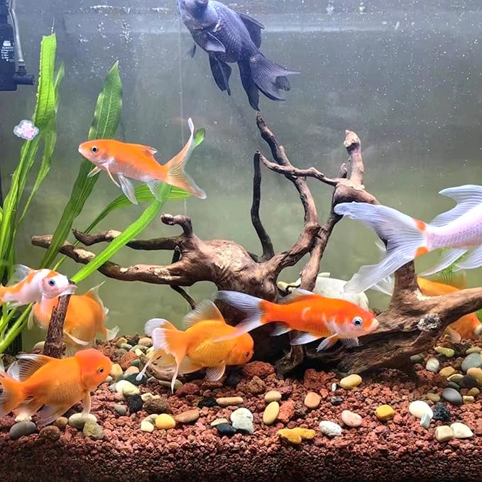 10 lbs Red Lava Rocks for Fire Pits,5-8 mm Crush Volcanic Rock Gravel Potting Mix for Succulent Cactus Bonsai Aquarium and Garden Landscaping