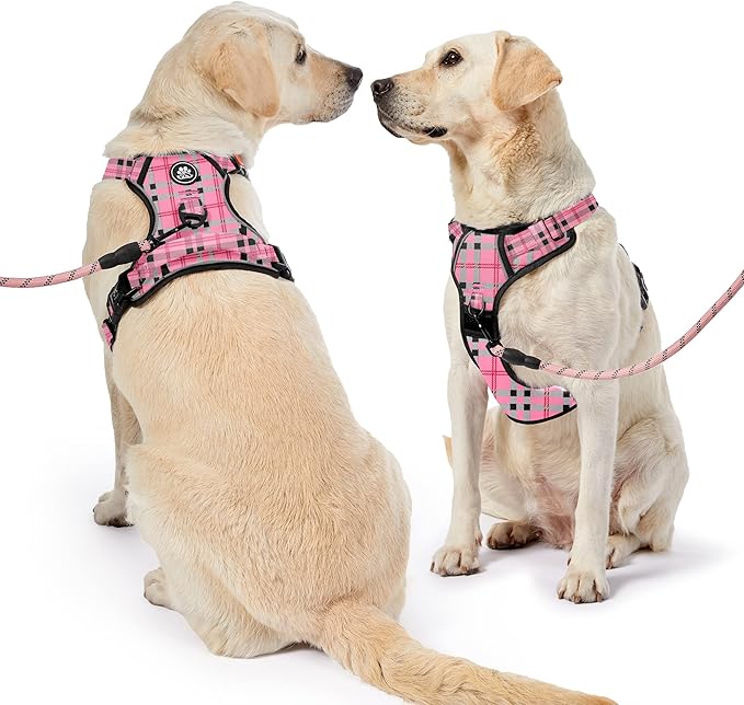 NESTROAD No Pull Dog Harness with Leash, Reflective No Choke Pet Vest Harness,Adjustable Soft Padded Dog Harness with Easy Control Handle for Small Dogs(Checkered Pink,Small)