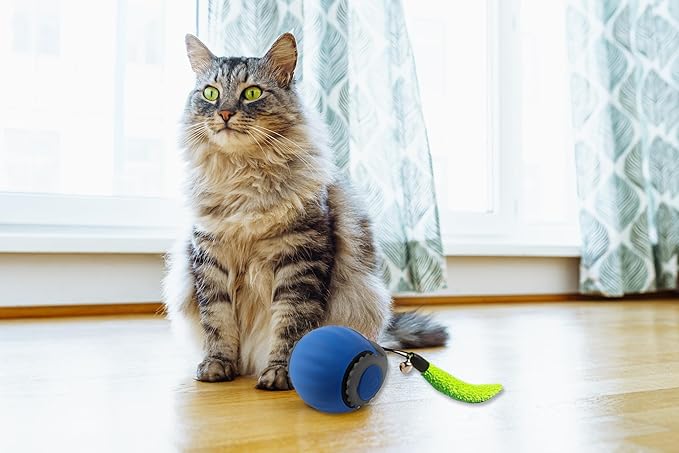 Smart Speedy 3.0 Interactive Cat Ball with Auto Obstacle Avoidance - Indoor Kitten Toy for Mental Stimulation & Playtime Fun ,2025 Edition (Blue)