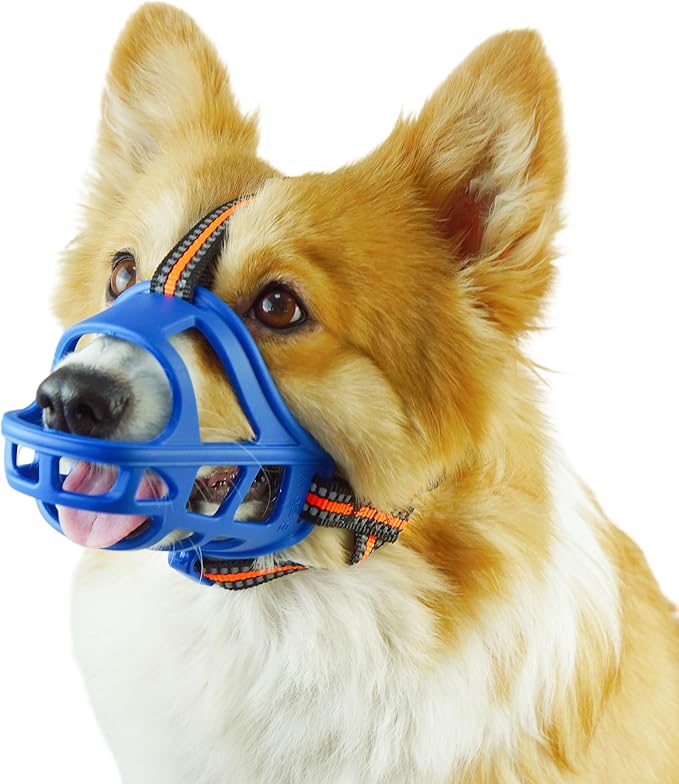 Dog Muzzle, Basket Muzzle for Small Medium Large Dogs, Anti-Biting and Chewing, Lightweight & Sturdy Cage Design, Allows Panting & Drinking, Ideal for Grooming & Training(Blue Size S)
