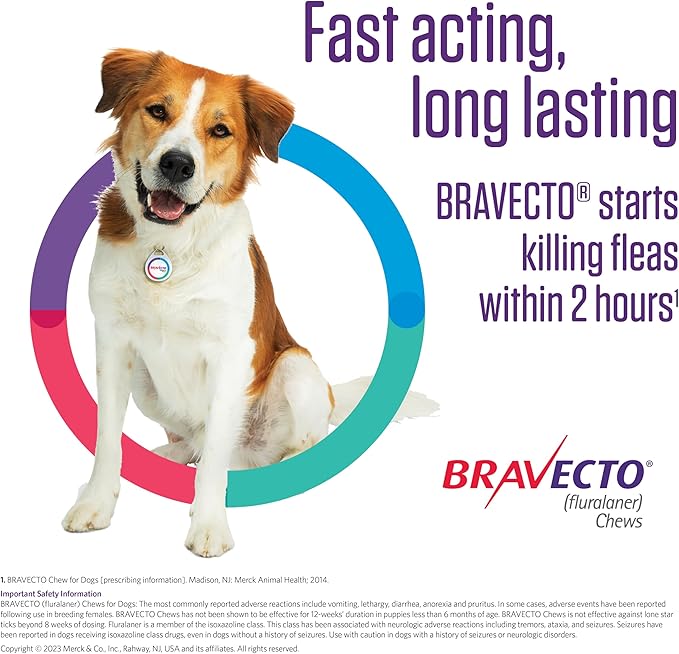 BRAVECTO Chew for Dogs, Flea & Tick, 1 Chew, 12 Week Supply, 22-44 lbs., Green Box