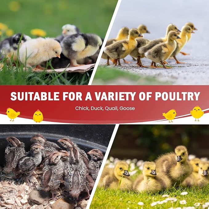 Chicken Brooder Box for Chick Starter Kit - 10 * 12inch Brooder Heating Plate Chick Brooder Pen/Baby Chicken Brooder Box 4-in-1 Bundles with Chicken Feeder, Waterer (Brooder Set)