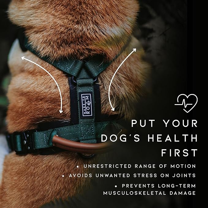 MADE TO ROAM Premium Explorer Harness - Y-Shaped Dog Harness with Adjustable Durable Nylon, Soft Padding, Metal Buckles and Leather Handle for Small, Medium, Large Dogs (Virginia Mountains, Size 6)