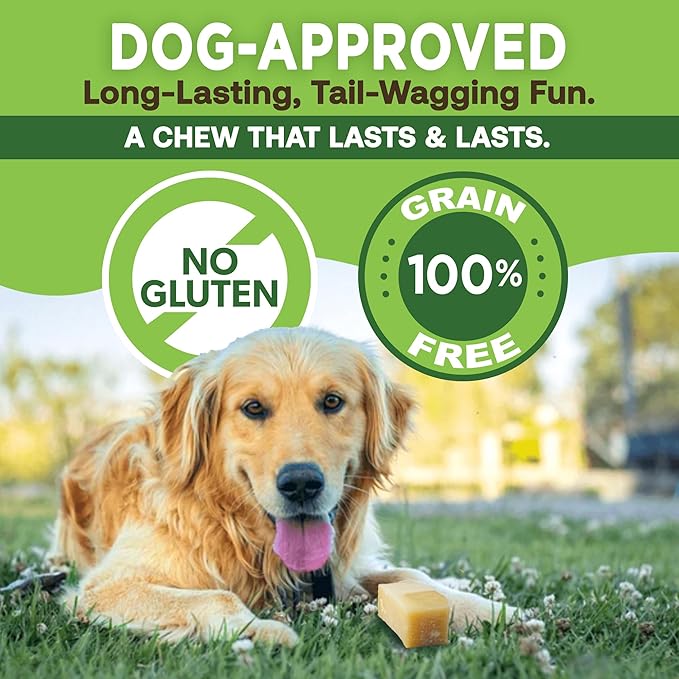 Ecokind Himalayan Chews, Healthy Treats, Odorless, Rawhide Free, Long Lasting Dog Bones for Aggressive Chewers, Indoors & Outdoor Use, Made in The Himalayas, Large (Pack of 20)