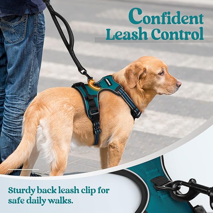rabbitgoo Dog Harness No Pull with 2 Leash Clips, Adjustable Soft Padded, Reflective Oxford No Choke Pet Vest with Easy Control Handle for Large Dogs, Blue Coral, XL