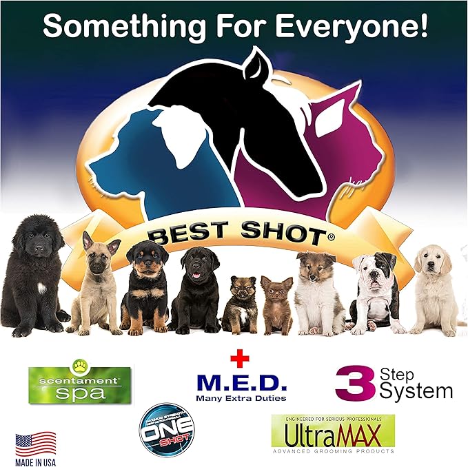 Best Shot Scentament Spa Seasonal Facial & Body Wash, Exotic Island, 16 oz