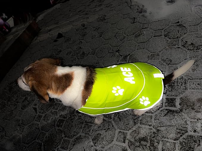 Custom Reflective Dog Vest High Visibility Reflective Jacket for Dogs Hunting Safety Gear with Elastic Strap & Clasp, Comfortable, Perfect for Day and Night Walks!