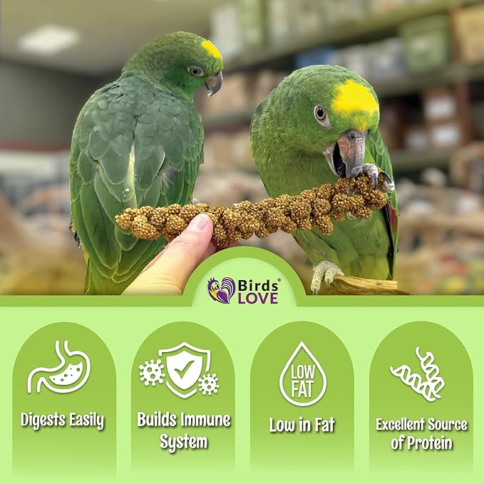 Birds LOVE French Kissed Spray Millet for Birds - Parakeets, Cockatiels, Lovebirds, Finches, Budgies, Canaries, Cockatoos - Natural & Healthy Bird Millet - Parakeet Food & Treats for all Parrots 25lbs