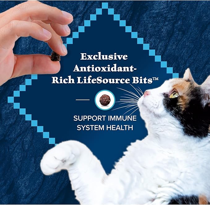 Blue Buffalo Wilderness Natural High Protein, Grain Free Dry Food for Adult Cats, Salmon, 11-lb Bag